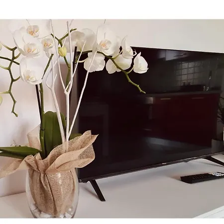 Olga & Gio - Vicino Al Centro Di *