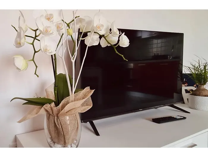 Olga & Gio - Vicino Al Centro Di *